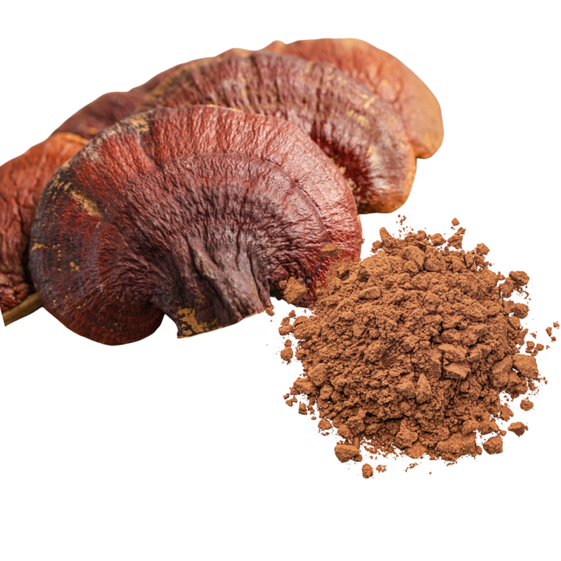 Reishi en Polvo x 30 gramos