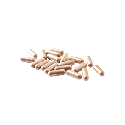 Reishi en Capsulas de 200mg (30 unidades)