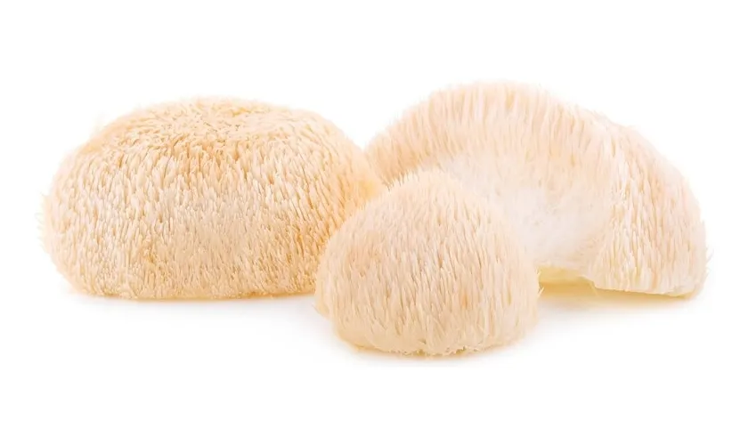 Melena de Leon Capsulas de 200mg (30 unidades) - Imagen 2