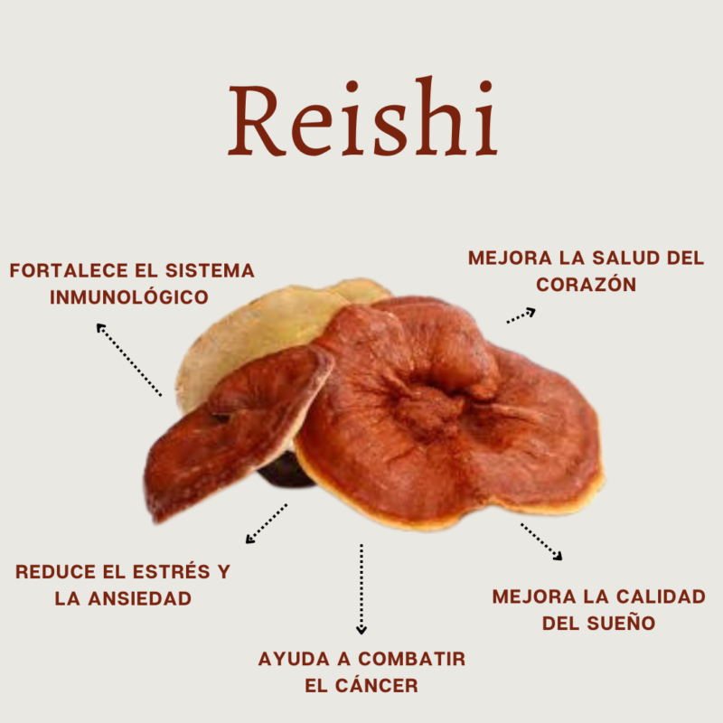 Tintura Hongo Medicinal Reishi X 60ml. Ganoderma. Inmunidad - Imagen 3