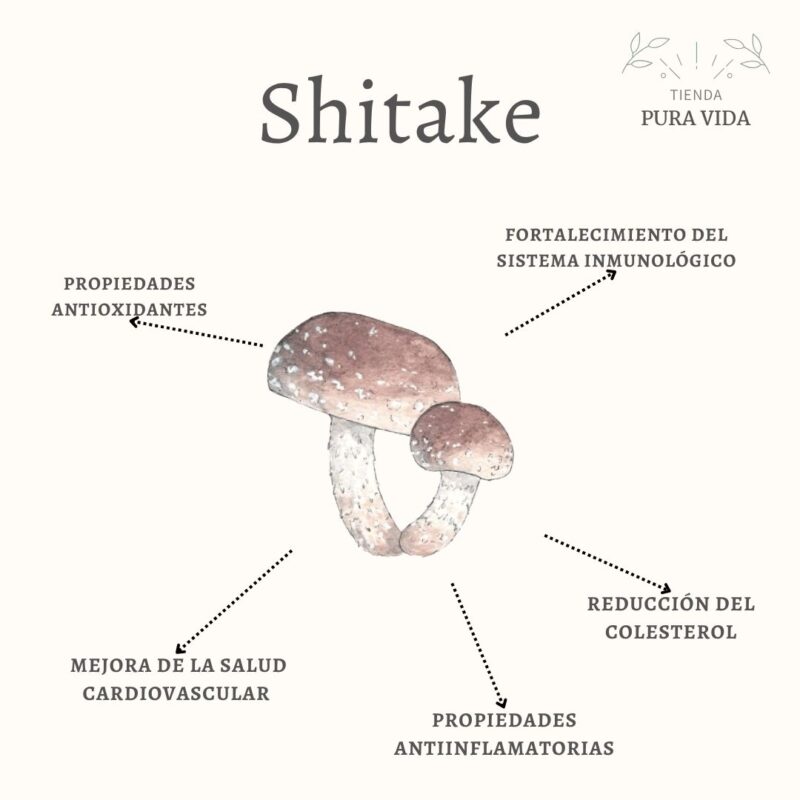 Hongo Shitake En Polvo X 30g Antioxidante Antiinflamatorio Shitake - Imagen 2