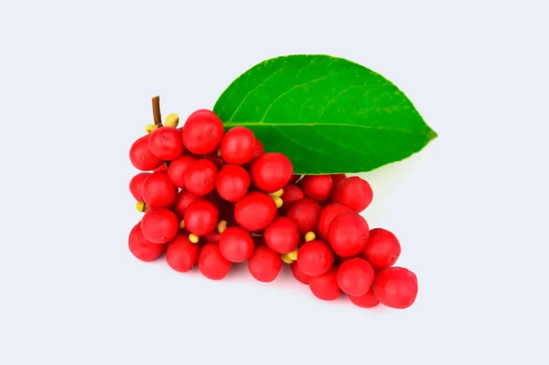 Schisandra Chinensis En Capsulas De 200mg C/u (30 Unidades)