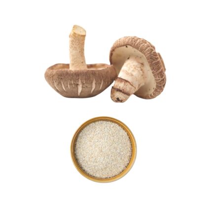 Hongo Shitake En Polvo X 30g Antioxidante Antiinflamatorio Shitake